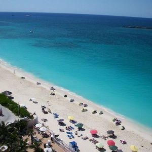 Meet your Posher, Latasha